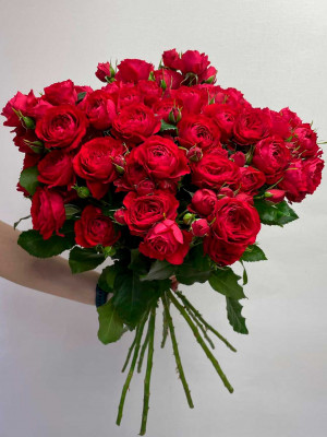 Цветы поштучно: Роза «Скарлет деменшен»